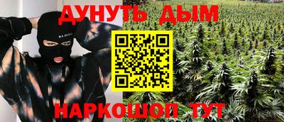 трава Кингисепп